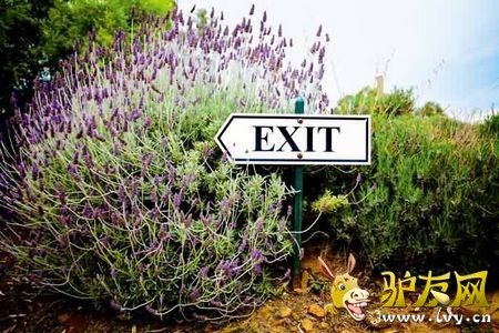 �Ĵ������Լ���Ȥ �ڰ����桰�Ĺ�ʽ����Խ