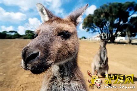 ·�Ͼ�������ֶ�������ţ����������ʱҪ����С�ģ�������ҹ����ʻ