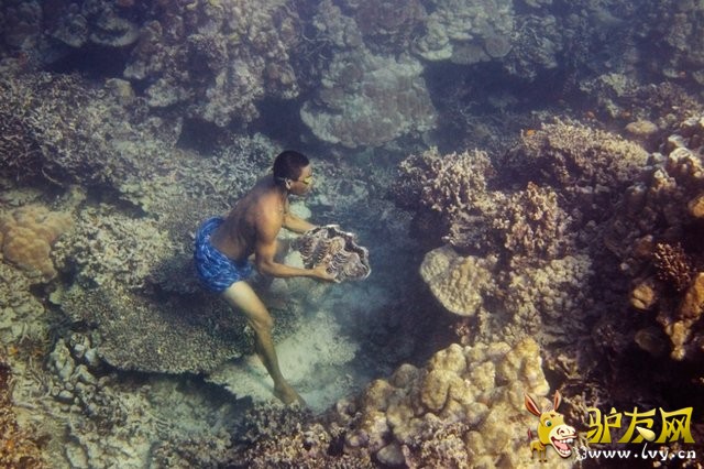 ����Ǳˮ����Ī���� 20��ˮ��ԭ��̬����(ͼ)