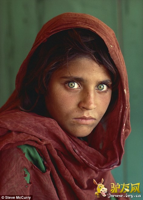 ������ս�������������Sharbat Gula ��ʷ�ٷ� ����Steve McCurry������1985�꣩