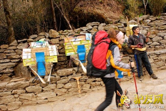 ���ɹ涨��ɽ��������16�꣬����Щ12���ĺ��Ӿ�����ؿ������ص�����ƽ�������ɴ�140�