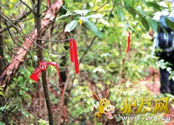 ��ܰͼƬ˵��:�ڴ�Խï��ɽ��ʱ�����Ҫһ·���ñ�ǣ�Ѻ��ĸ���Ӹ�����ձ��