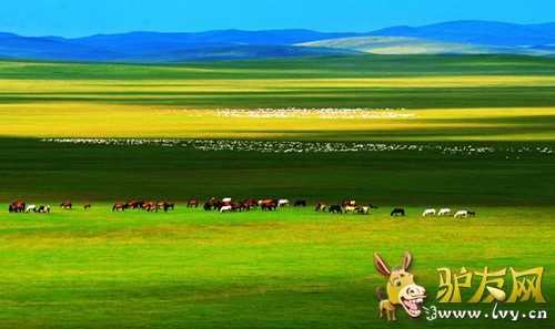 �����ǲ�ԭ����