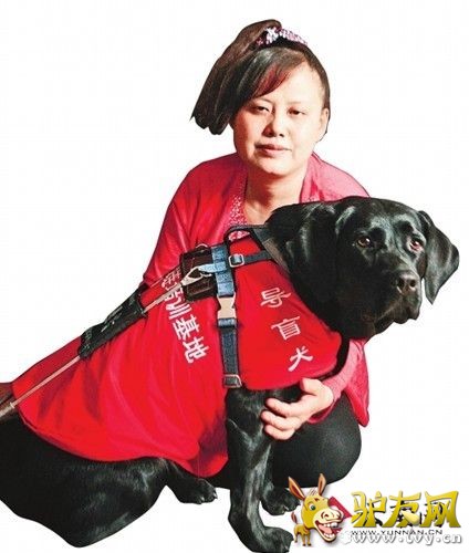 ��������� ΢�� ��ͼ