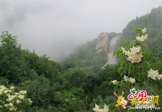 �ٻ�ɽͽ����ɽ����ѡ����ɽ·��