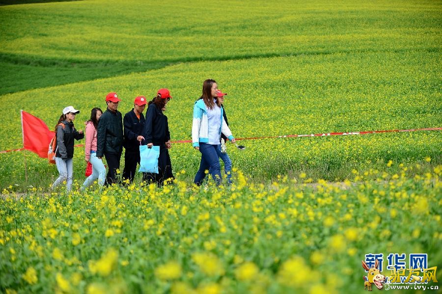 ȫ����������ٰ�Ⱥ�ڵ�ɽ�������[����]