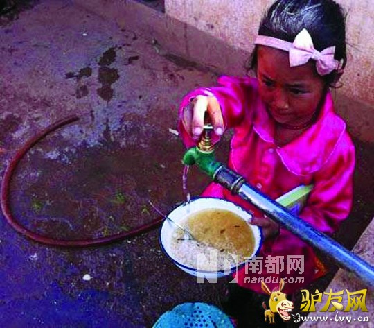 ��������Сѧ���ý�ˮ�ݷ���ͼƬ���������顣����ͼƬ