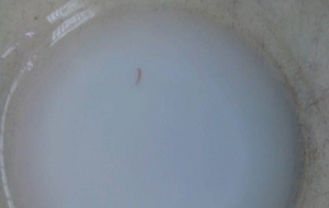 �������̷��ֻ����Ӿ �ͷ���ж���Σ�ͼ���������̷� ���