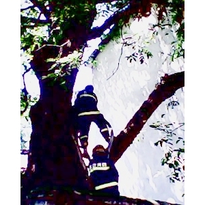 �人200������������������ȼ(ͼ)