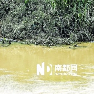 ��ͷ������ֳ��Χǽ��� ��ʮ���������