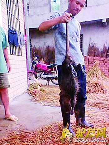 ���Ͼ��ֽ�1�׳�����