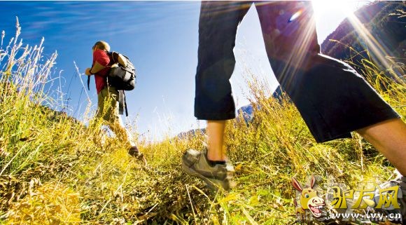 ����ͽ�� ��������