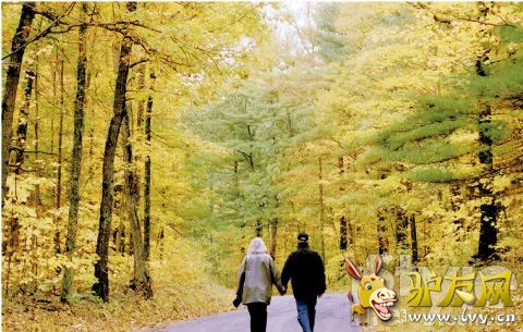 ����ͽ�� ��������