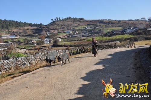 ����ͼ����ʯ�ֵ��ʹ�԰�ھ�