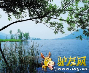 �����������ͼ