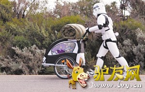 ���ޡ��Ÿ���������������;��