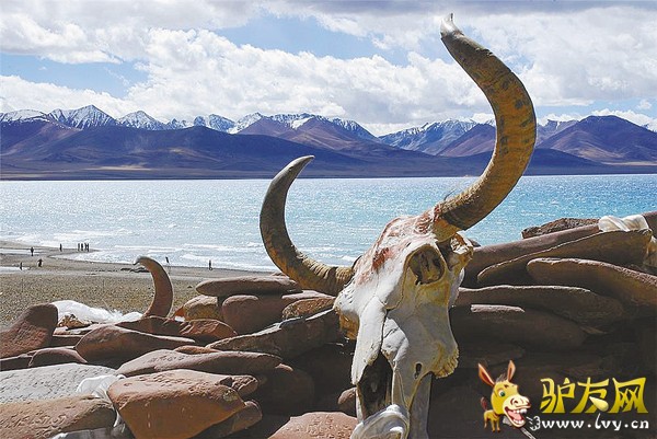 ��ľ����⡣������ͼƬ��