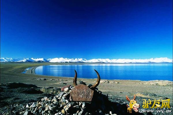 ������ʥ����ľ��