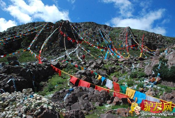 ��ľ�밶�ߵ�ɽ�Ͼ�ᦱ鲼