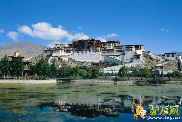 ��ΰ�Ĳ�������