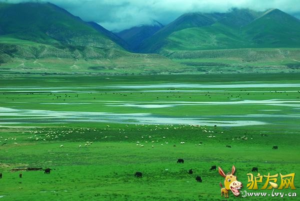 ��������ظ�ԭ����