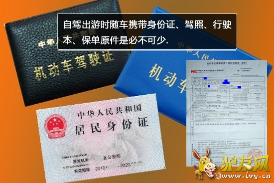 ��;�Լݱر�����֪ʶ