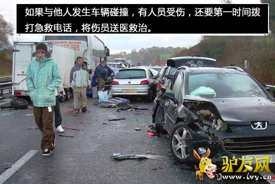 ��;�Լݱر�����֪ʶ