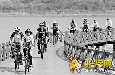 ���н�Ұ�̵� ��ٳ��ֻ�����