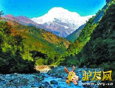 ��ԽϿ�ȵ�Sinuw  ͼƬ��Դ�����ձ�