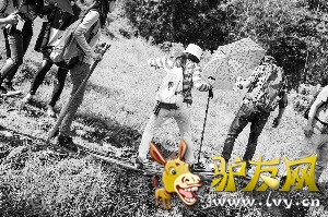 13�����ͽ���������໥�����ż�ֵ������