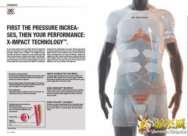 ��Ъʽ�������� 