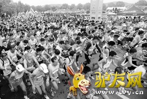 ͽ������������