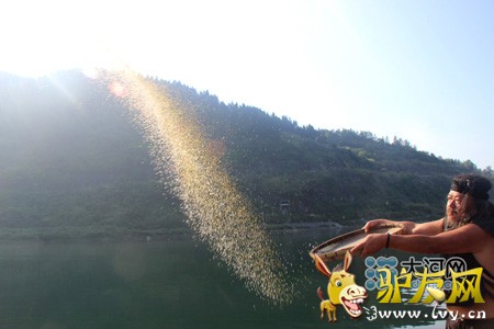 ���������׽�ɽˮ�˶��ڿ�Ļ ��ľ�³��ʵ��ȵ�