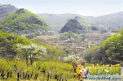 登山、漂流、滑索 天门山上吹响“有氧旅游”集结号