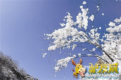 登山、漂流、滑索 天门山上吹响“有氧旅游”集结号