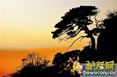 登山、漂流、滑索 天门山上吹响“有氧旅游”集结号