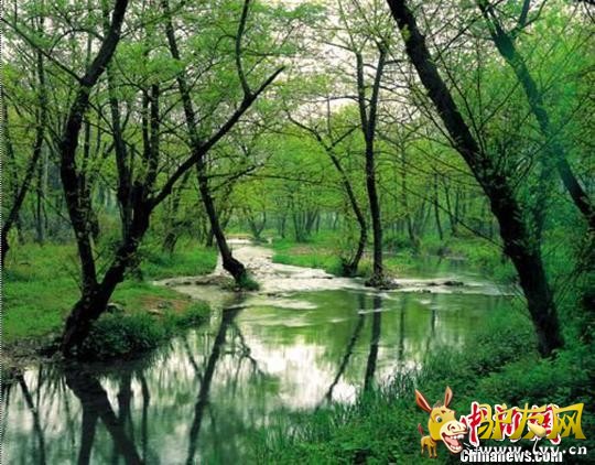 ���ݱ��߷� ���� ��