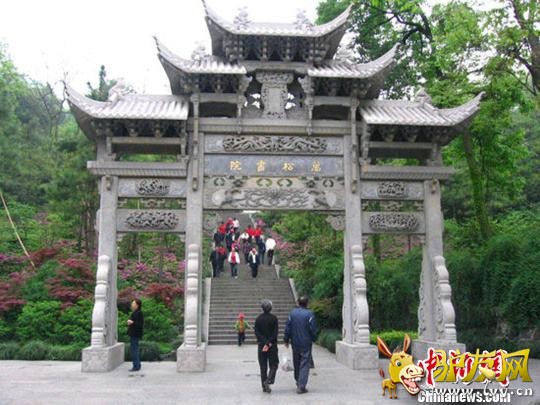 ���ݱ��߷� ���� ��