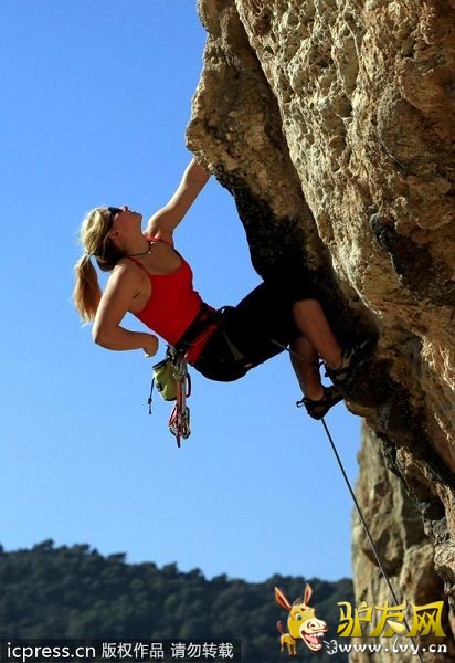 ��������¸�