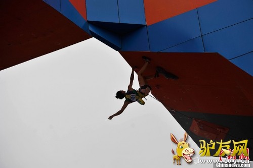 ��ɳ�������Ѷ����й�����Ե���� �����ӳɴ�Ӯ��