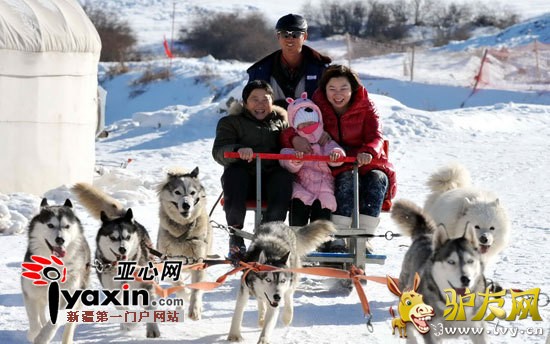 ͼΪ1��1�գ�˿��֮·���ʻ�ѩ����һ���ҳ����ź���������ѩȦ��