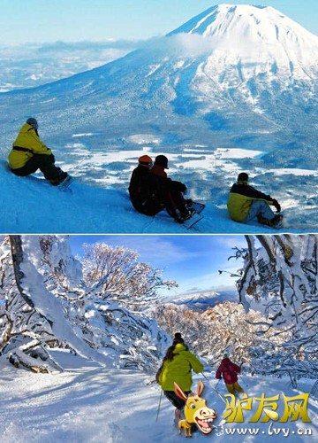 1.�ձ������� ��ѩƮ��Ķ�����ѩ����