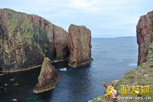 �ո���Ͽ�� ��Ӱ����