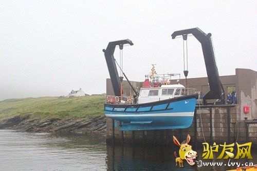 ���κ��еĴ�ֻ ��ӰMICK TIGH