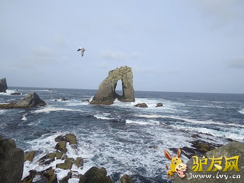 ���������еĺ��Ϲ��� ��Ӱ����