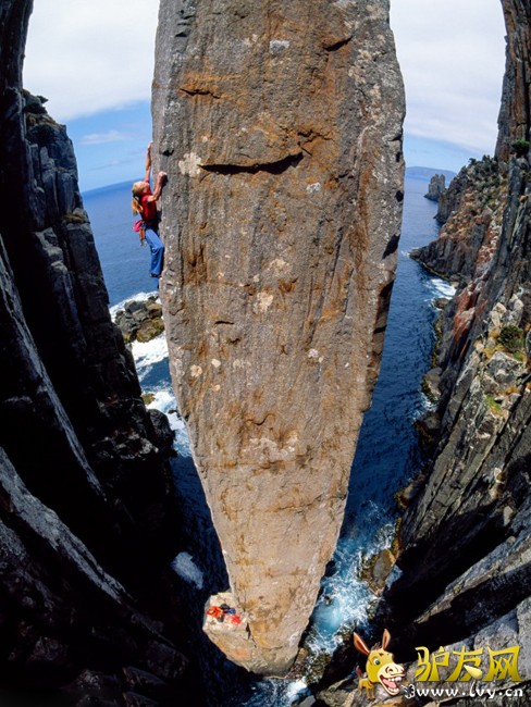 ��ս��ͽ�������� �߿��߸�˿(������ͼ)