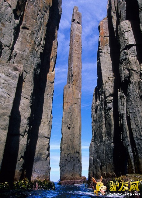 ��ս��ͽ�������� �߿��߸�˿(������ͼ)