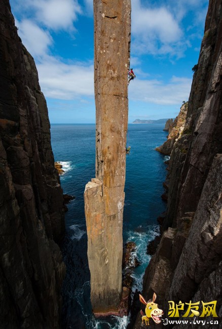 ��ս��ͽ�������� �߿��߸�˿(������ͼ)