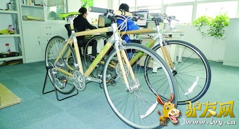 �������г�������Ҫ�ṹ����������������ɣ���12��ר����