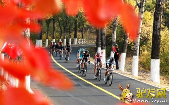 ��������ɽˮ���ȣ���Ȫ�ȼٴ�������Ȫ